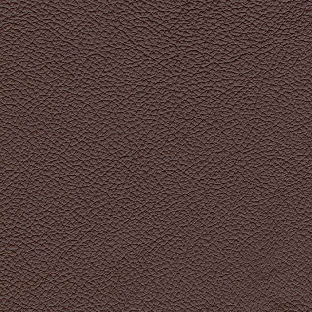Basic Burgundy