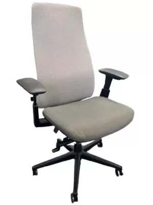 Haworth Fern Executive Desk Chair