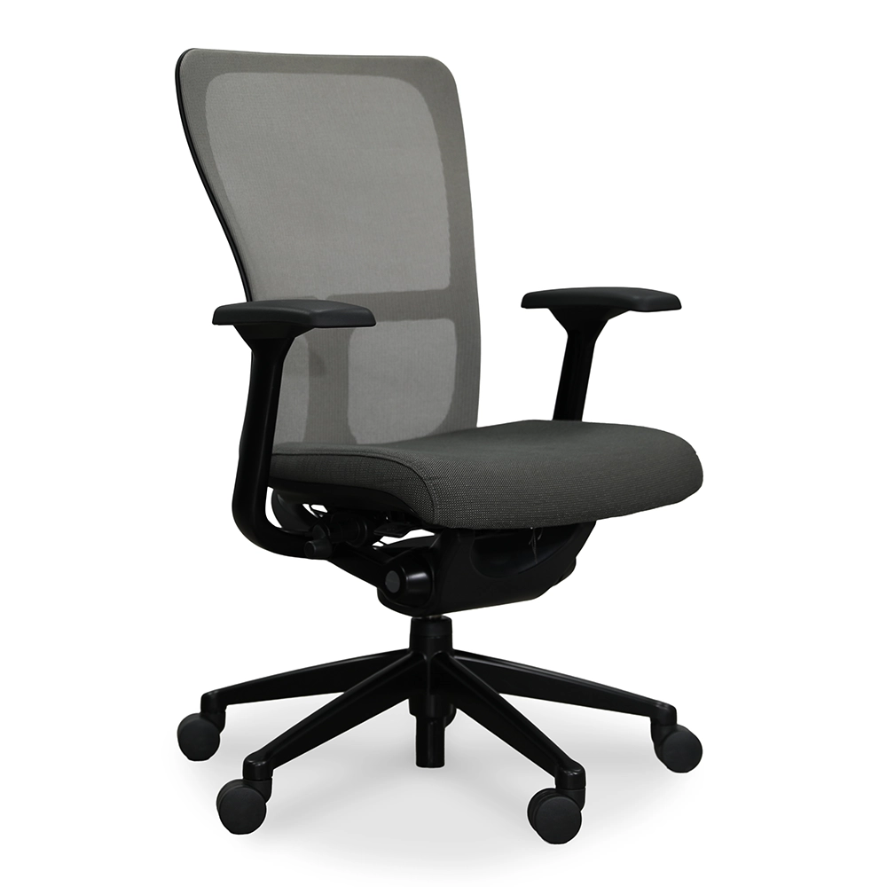 Gray Haworth Zody Task Chair with fixed arms, and height-adjustable seat.